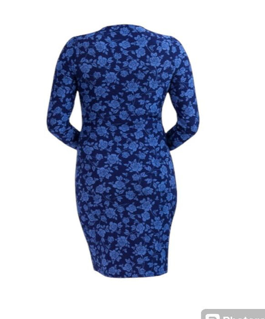 Paris Long Sleeve Ring Dress